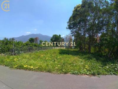 興中路, Gaoshu Township, Pingtung County 906, Taiwán