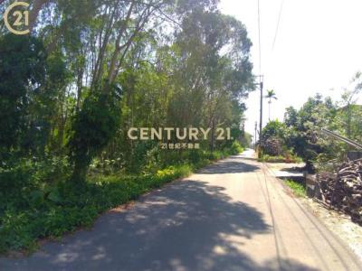 興中路, Gaoshu Township, Pingtung County 906, Taiwán