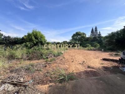 中蔗路, Dadu Dist., 타이 중 432, 대만