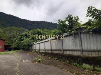 牛尾路, Puli Township, Nantou County 545, 대만