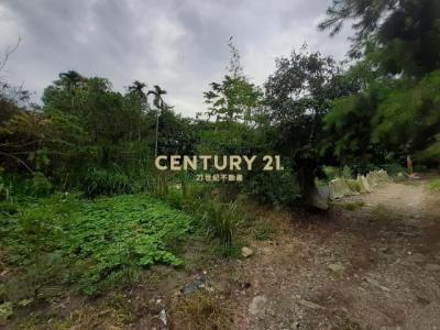 牛尾路, Puli Township, Nantou County 545, 대만