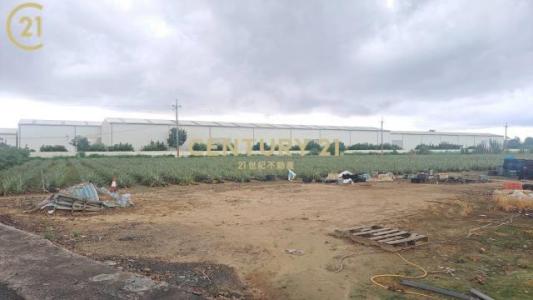 大社, Xinshi Dist., Tainan City 744, Taiwan