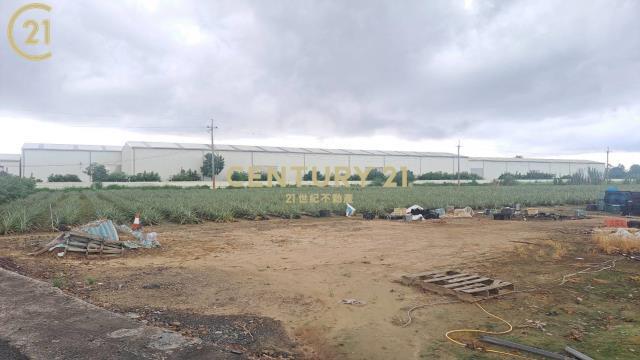 大社, Xinshi Dist., Tainan City 744, Taiwan