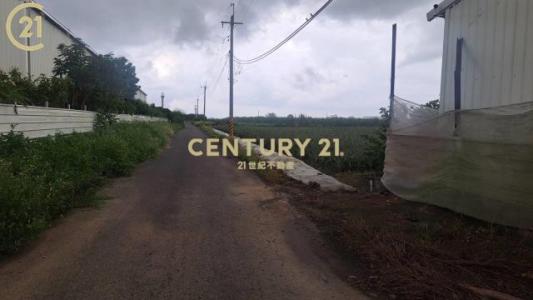 大社, Xinshi Dist., Tainan City 744, Taiwan