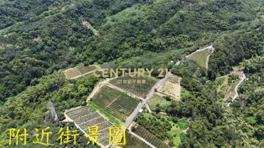 牛運堀段, Nantou, Nantou County 540, Taiwan