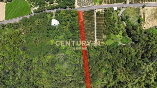 牛運堀段, Наньтоу, Уезд Наньтоу 540, Тайвань