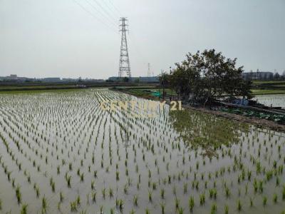 追分段, Dadu Dist., Taichung 432, Taïwan