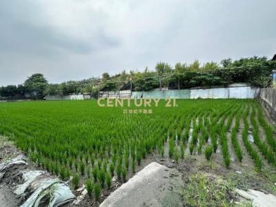 新喀哩段, Wuri Dist., Taichung 414, Taïwan