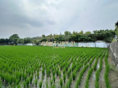 新喀哩段, Wuri Dist., Taichung 414, Taïwan
