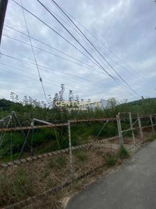 牛稠坑段, Houli Dist., Đài Trung 421, Đài Loan