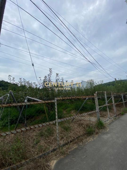 牛稠坑段, Houli Dist., 타이 중 421, 대만