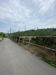 牛稠坑段, Houli Dist., 타이 중 421, 대만