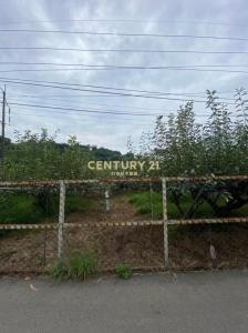 牛稠坑段, Houli Dist., 타이 중 421, 대만