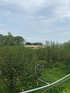 牛稠坑段, Houli Dist., 타이 중 421, 대만