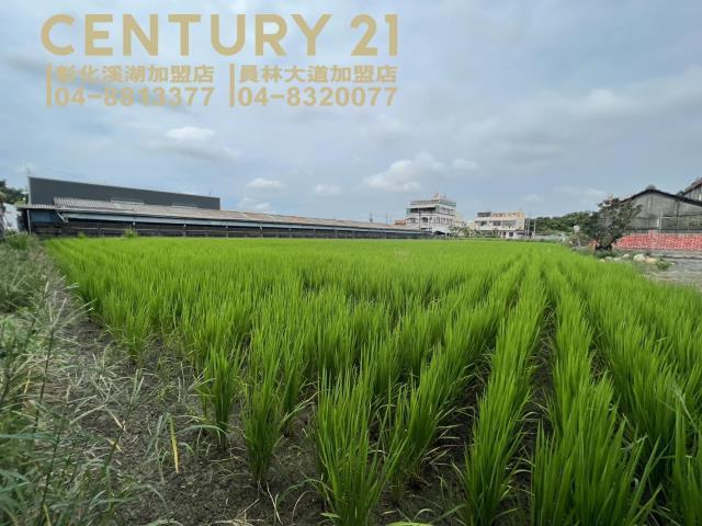 永昌段, Puyan Township, Changhua County 516, Taiwan