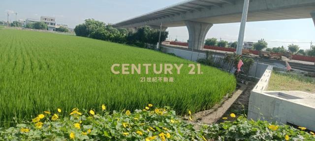 義和段, Puyan Township, Changhua County 516, Tayvan