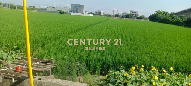 義和段, Puyan Township, Changhua County 516, Tayvan