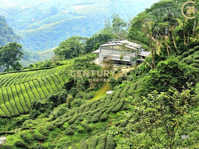五寮巷, Zhushan Township, Nantou County 557, Tajwan