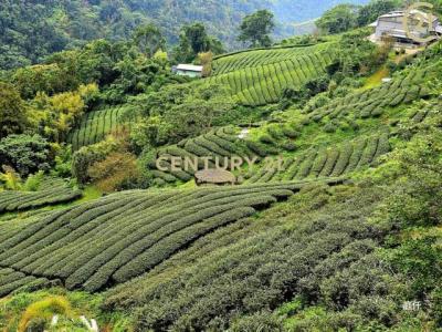五寮巷, Zhushan Township, Nantou County 557, Tajwan