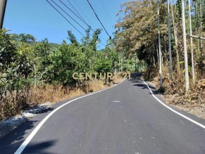 福德路, Shuili עיירה, Nantou קאונטי 553, טיוואן 