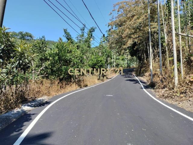 福德路, Shuili Township, Nantou County 553, Taiwan