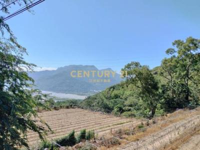 福德路, Shuili Township, Nantou County 553, Taiwan