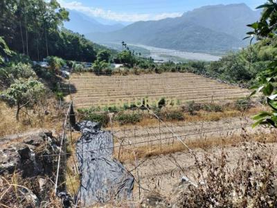 福德路, Shuili Township, Nantou County 553, Taiwan