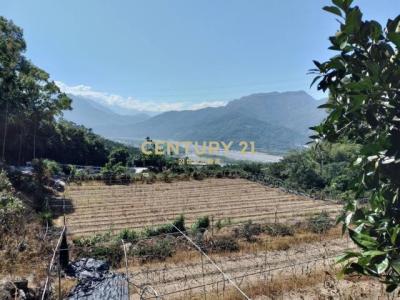 福德路, Shuili Township, Nantou County 553, Taiwan