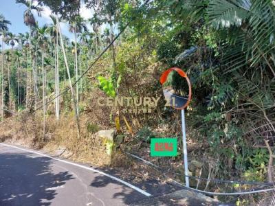 福德路, Shuili Township, Nantou County 553, 대만