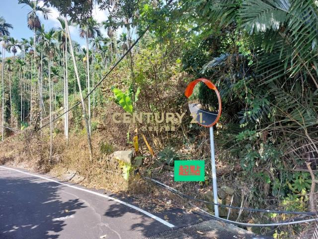 福德路, Shuili Township, Nantou County 553, Taiwan