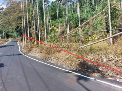 福德路, Shuili Township, Nantou County 553, Taiwan