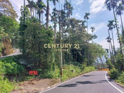 福德路, Shuili Township, Nantou County 553, Taiwan