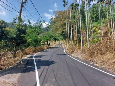 福德路, Shuili Township, Nantou County 553, Taiwan