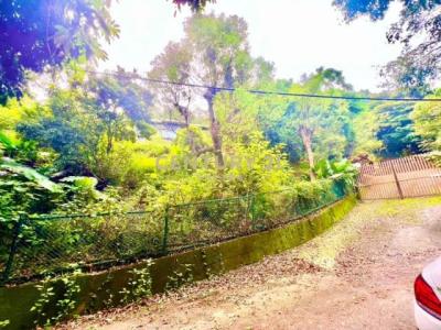 德興段, Fenyuan Township, Changhua County 502, Taiwan