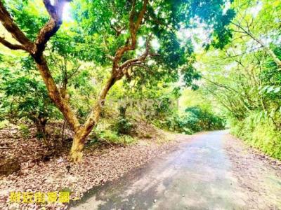 德興段, Fenyuan Township, Changhua County 502, Taiwan