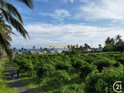 北佳里段, Donghe Township, Taitung County 959, Taiwan
