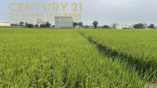 五通段, Puxin Township, Changhua County 513, Taïwan