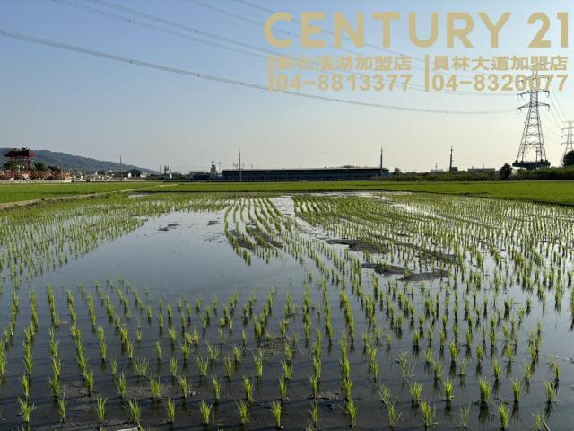 新埤清段, Shetou Township, Changhua County 511, Tajwan