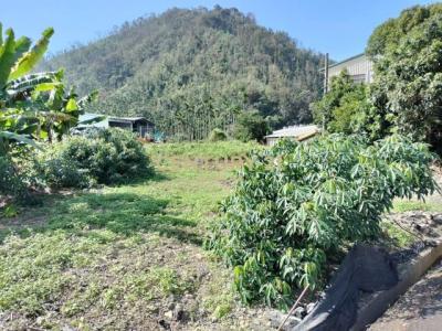 永川巷, Yuchi Township, Nantou County 555, Tajwan