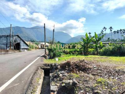 永川巷, Yuchi Township, Nantou County 555, Tajwan