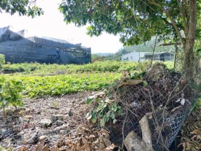 永川巷, Yuchi Township, Nantou County 555, Tajwan