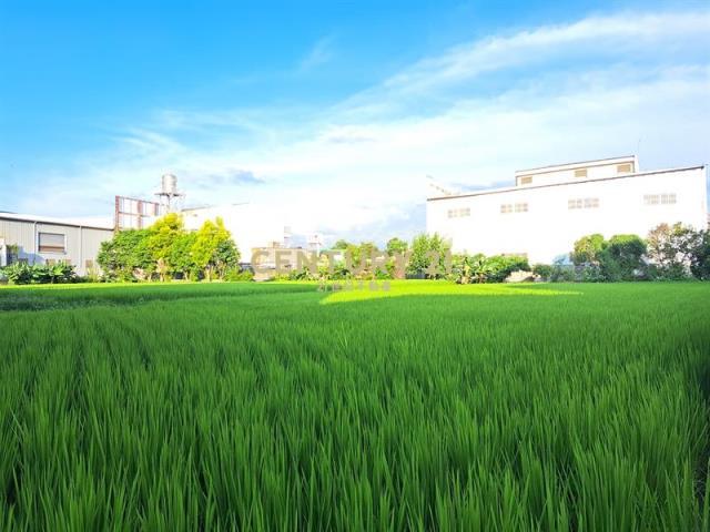 牛埔段, Tanzi Dist., 타이 중 427, 대만