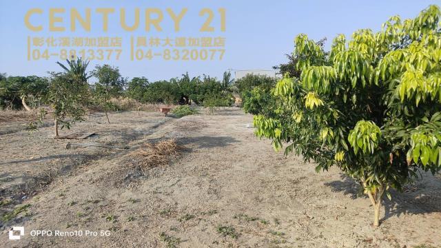 二重段, Puxin Township, Changhua County 513, Taïwan