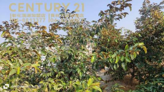 二重段, Puxin Township, Changhua County 513, Taïwan