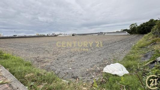 新生段, Taitung City, Taitung County 950, Taiwan