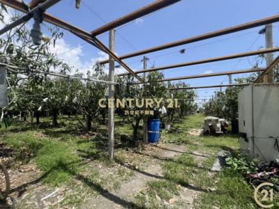 知本路一段, 台东, Taitung County 950, 台湾
