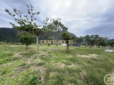 新大馬段, Donghe Township, Taitung County 959, Taiwan