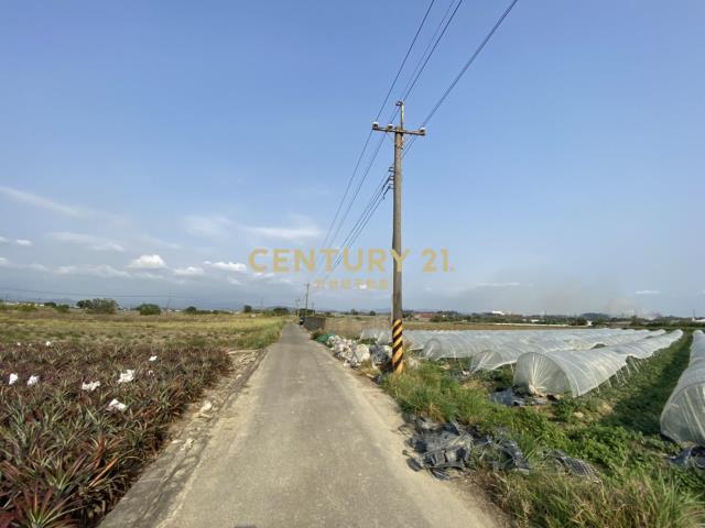 東大社段, Xinshi Dist., Tainan City 744, Taiwan