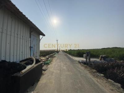 東大社段, Xinshi Dist., Tainan City 744, Taiwan