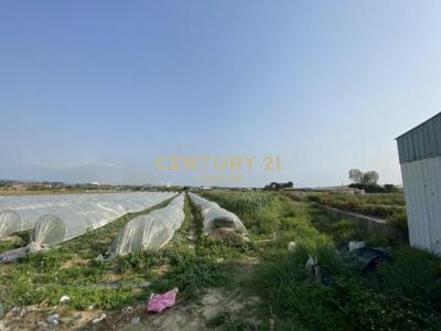 東大社段, Xinshi Dist., Tainan City 744, Taiwan